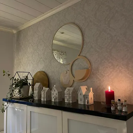 Aurora View 罗瓦涅米